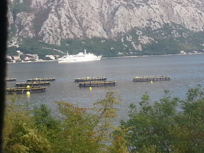 de Dubronick a Montenegro